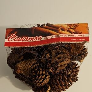 Cinnamon Scented Pine Cones